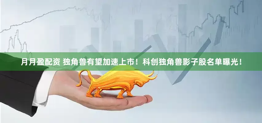 月月盈配资 独角兽有望加速上市！科创独角兽影子股名单曝光！